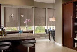 envision-roller-shades