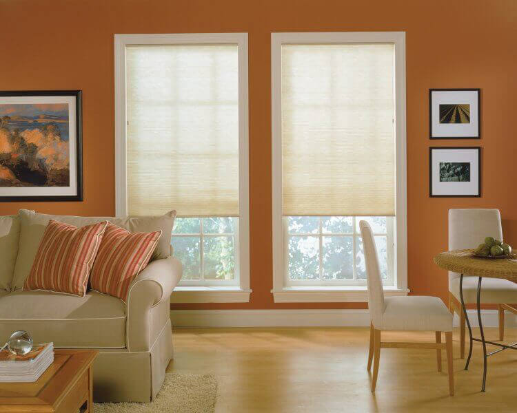 RS Family Room symphony cellular shades